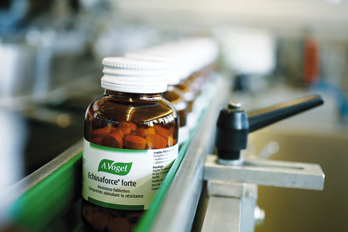 Echinacea_AVogel
